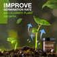 🌱Soil Activated Treasure-You Will Be Amazed!