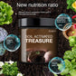 🌱Soil Activated Treasure-You Will Be Amazed!
