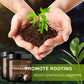 🌱Soil Activated Treasure-You Will Be Amazed!