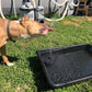 🎁HOT SALE 49% OFF 🎁Solar Powered Fountain🌴