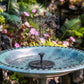 🎁HOT SALE 49% OFF 🎁Solar Powered Fountain🌴