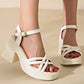 🎉Summer Fashion New👡Women’s Open Toe High Chunky Heel Sandals