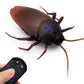 🔥LAST DAY SALE 50% OFF✨Remote Control Insects Toy