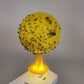 🔥2025 HOT SALE🔥Sticky Fruit Fly Trap Ball with Stand & LED