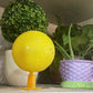 🔥2025 HOT SALE🔥Sticky Fruit Fly Trap Ball with Stand & LED